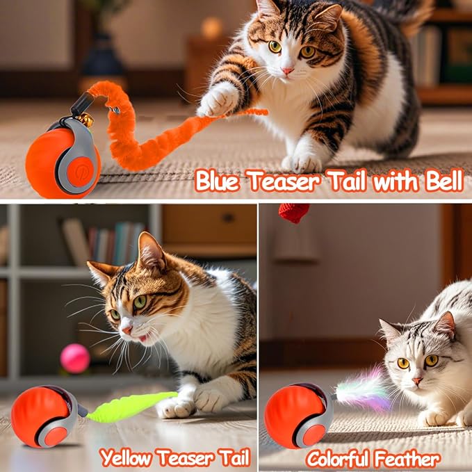 Mity rain Interactive Cat Toy Ball, Rechargeable Cat Toys for Indoor Cats