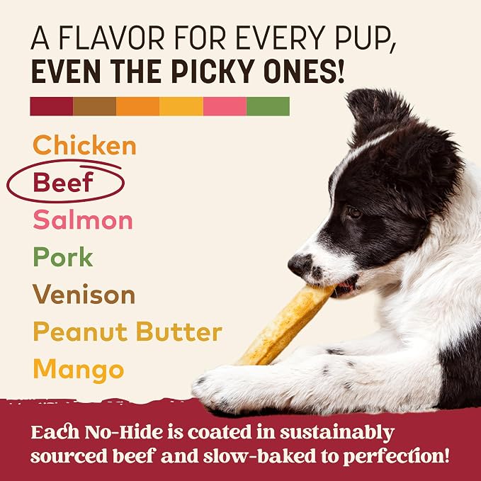 Earth Animal No Hide Dog Chews - Rawhide Free Medium Rolls 6 Count Beef | Medium Beef Flavored Natural Rawhide Free Long Lasting Dog Chews - Treats for Medium Dogs and Aggressive Chewers