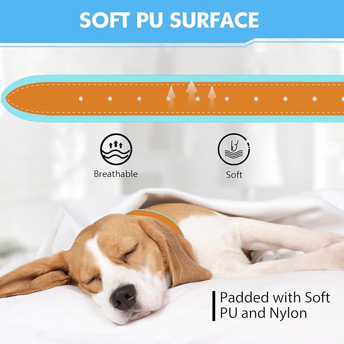GPS Tracker for Dogs, 2 in 1 Smart Pet Collar (Only iOS), No Monthly Fee Waterproof Dog Collar with Real-time Tracking, Anti-Lost, 365-Day Long Battery GPS Tracker for All Sized Dogs(Locator Included)