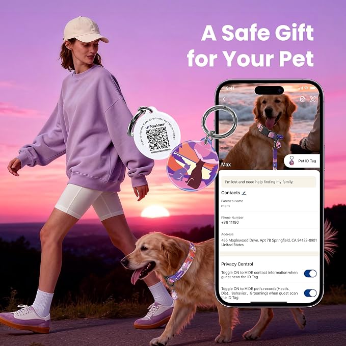 Dog Collar and Leash Set with QR ID Tag, 5 FT Leash, Purple, M