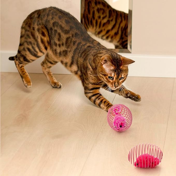 Jecery 25 Pcs Cat Toys Spring,Mouse and Bell,Colorful