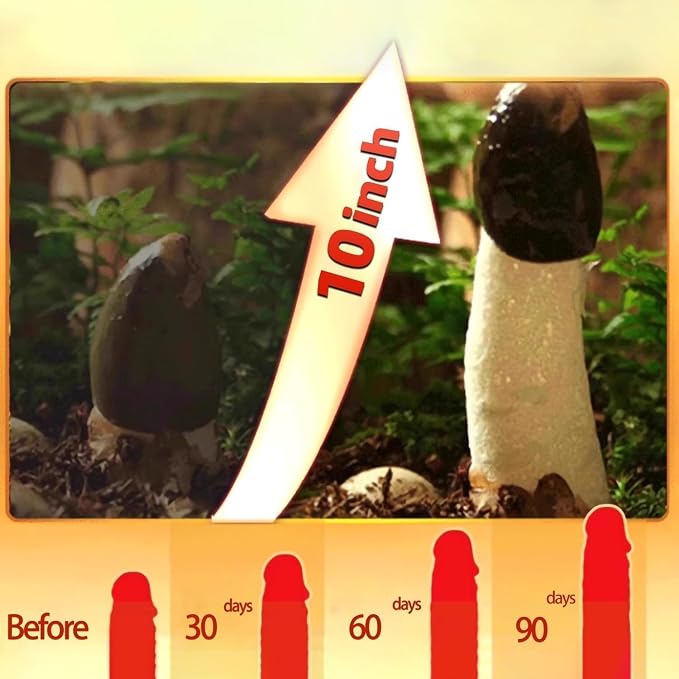 B3G Men Enhancement Grow Oil, Big Size Male Re-Vitalize Creams, Enlarge Thickness, Strength, and Prolonged Performance Natural Herbal Massage Oil for Man