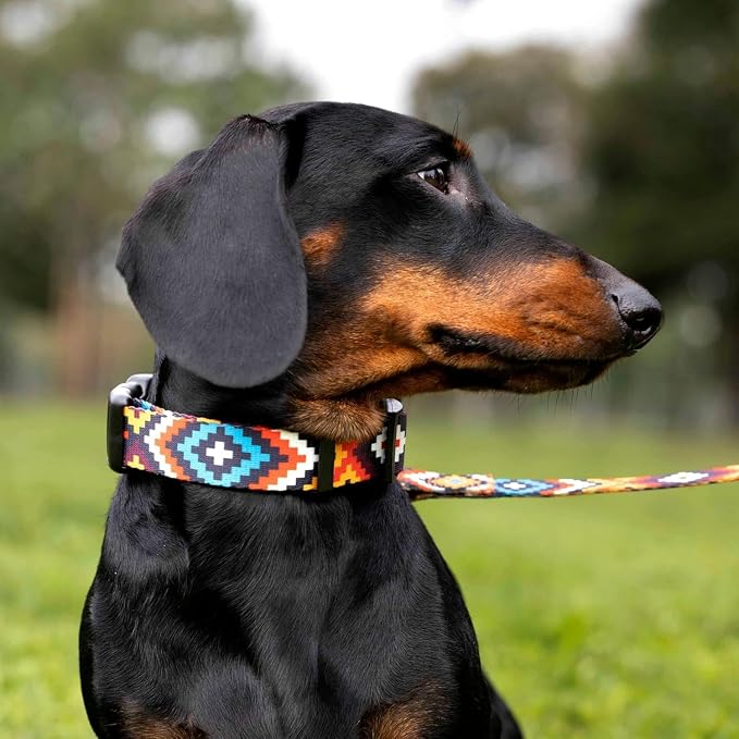CollarDirect Aztec Dog Collar Adjustable Nylon Tribal Pattern Geometric Pet Collars for Dogs Small Medium Large Puppy (Aztec Sunset, Neck Fit 18"-26"