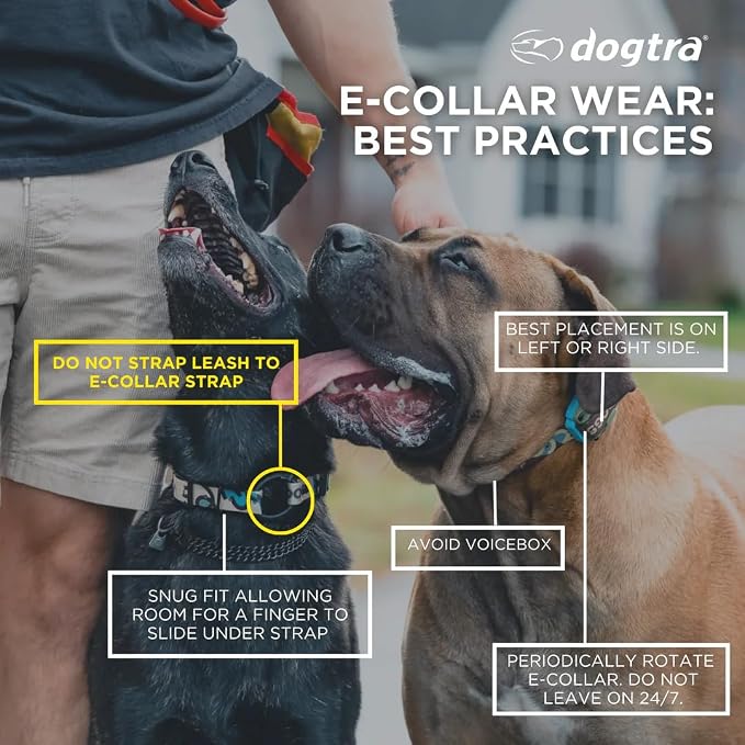 Dogtra E-Collar Tom Davis 280C 2.0 [2025 Edition], Boost & Lock, Waterproof, 1/2-Mile Range Dog Training Collar with Remote, Rechargeable, 127 Levels, Vibration, Bungee, No Bad Dogs Trainers