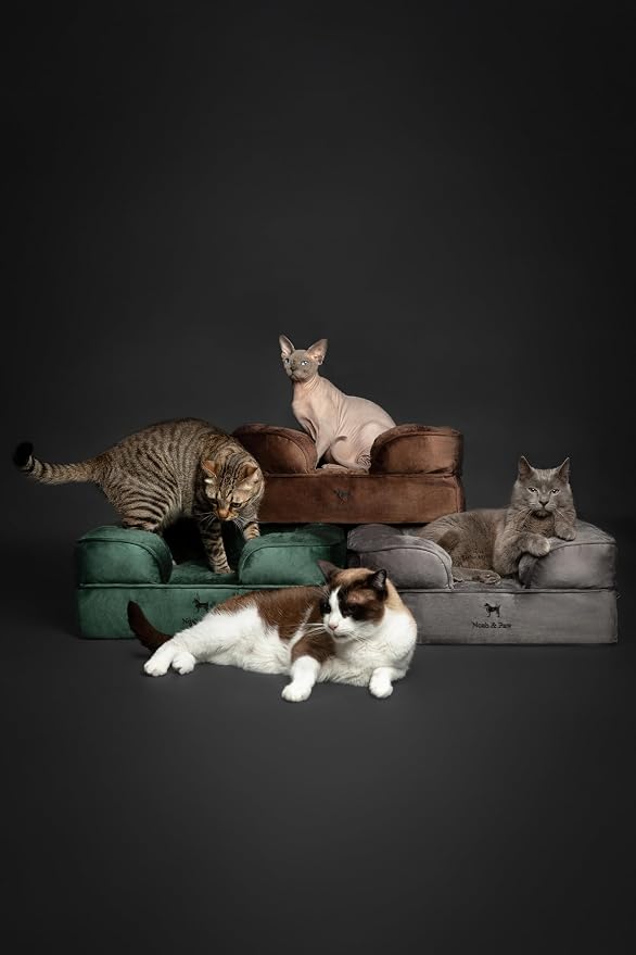 NOAH & PAW Small Dog Bed, 20x15x8 Inch, Cat Bed for Indoor Cats, Orthopedic Eggshell Memory Foam Infused with Cooling Gel, Water Resistant Inner Cover Machine Washable (Velvet Collection)