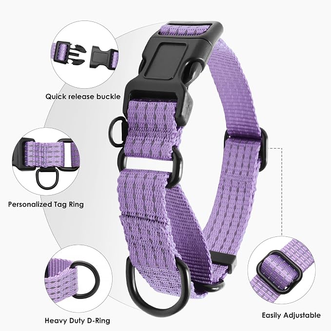 Martingale Dog Collar, Reflective No Pull with Buckle, Lavender, L