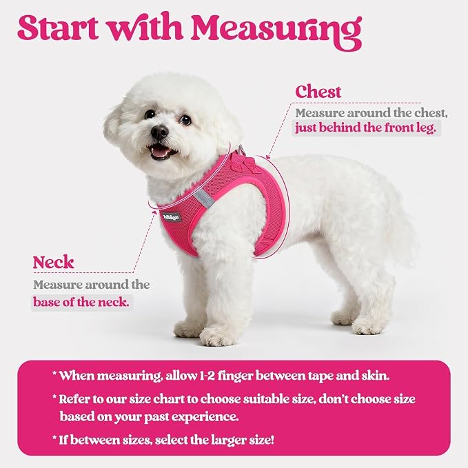 rabbitgoo Dog Harness Small Sized and Leash Set, Step-in Puppy Pet Vest | Light, Soft, Breathable Air Mesh, Easy on and Remove with Hook & Loop, Secure Reflective for Walking, Rose Red S