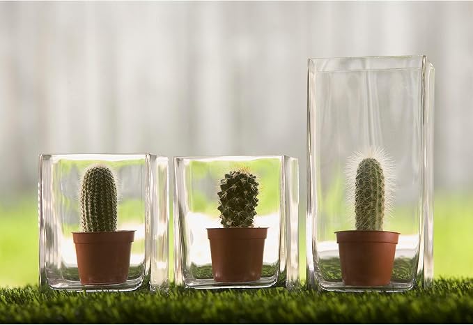 WGV Glass Rectangle Block Vase Bulk, Width x Length 3" x 4", Height 6.5", Clear Floral Planter Container Votive Candle Holder Wedding Party Event, Home Office Decor, 12 Pieces