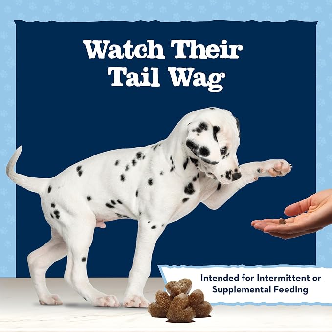 Blue Buffalo Baby Blue Training Treats Natural Puppy Soft Dog Treats, Savory Chicken 4-oz Bag (Pack of 6)