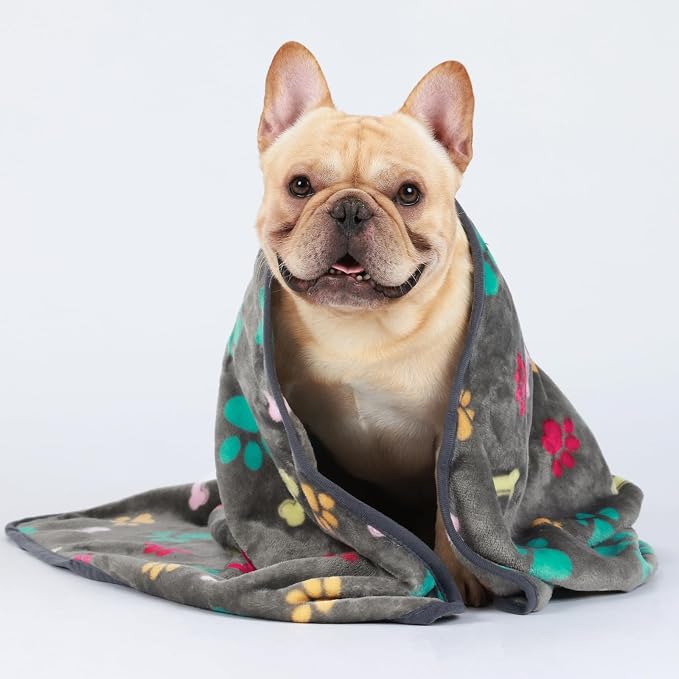 Luciphia 1 Pack 3 Blankets Fluffy Premium Fleece Pet Blanket Flannel Paw Printed Throw for Dog Cat(Large 41x31'', Grey) | Washable Throw Blanket for Crate, Couch, Bed, Travel. Cute Paw & Bone Print. Puppy Essential, Dog Gift,Grey