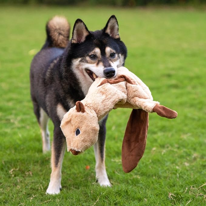 Best Pet Supplies 2-in-1 Stuffless Squeaky Dog Toy - Squirrel, Large | No-Stuffing, 2 built-in squeakers, No Mess, Soft, Holds a Plastic Bottle for Added play, Perfect for Moderate chewers