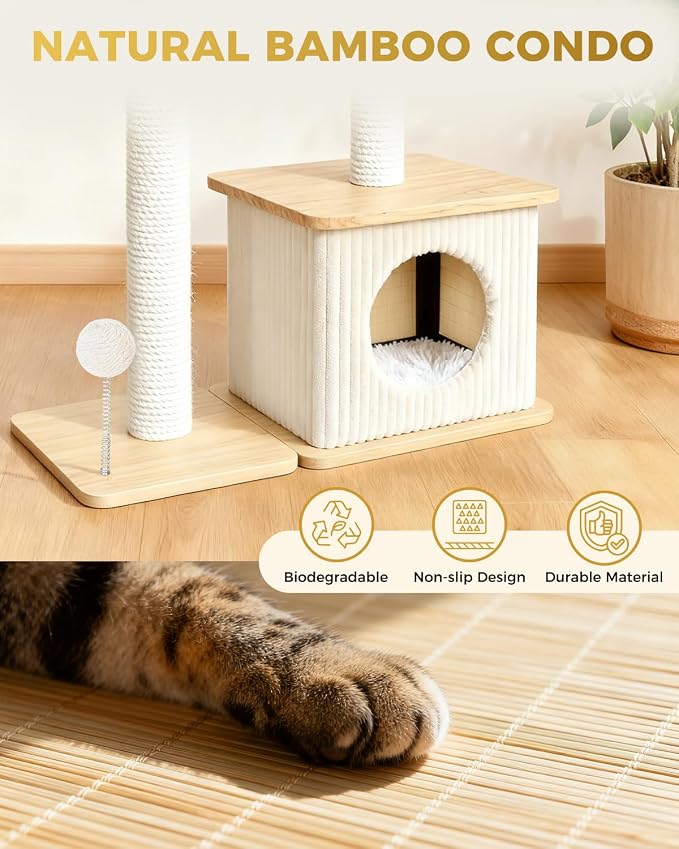 Small Cat Tree for Indoor Kittens, 30" Compact Modern Cat Tower | Natural Bamboo Cozy Condo, Soft Padded Perch, Sisal Scratching Post, Dangling Ball Toy, Stable Base, for Cats up to 15 lbs