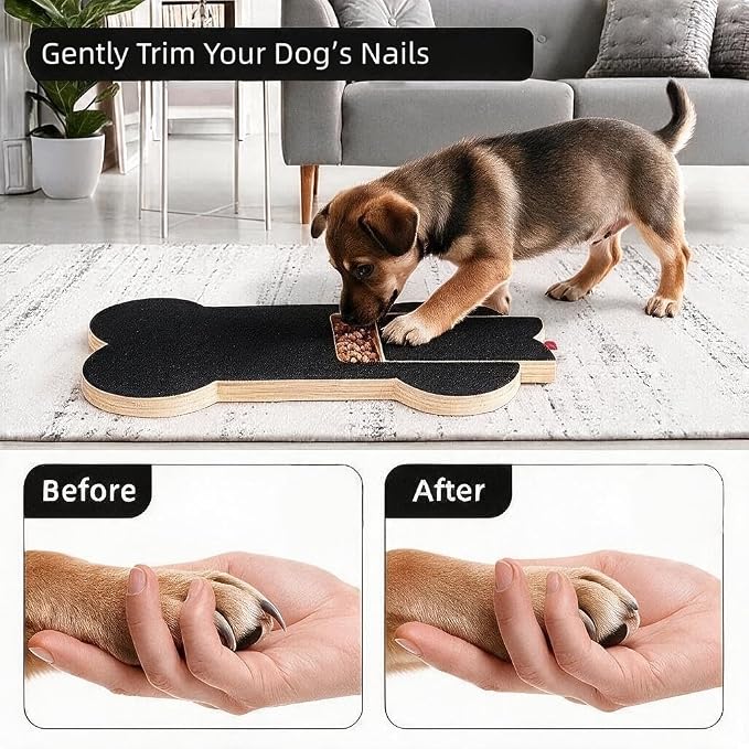 Dog Nail Scratch Board with Treat Slot,Treat Dispensing Toys