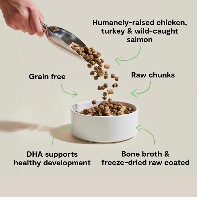 Open Farm RawMix Dry Cat Food, Grain Free Kibble for Kittens, 8lb Bag | Humanely-Raised Chicken & Turkey, Wild-Caught Salmon, Freeze Dried Raw Chunks, Traceable Ingredients, Non-GMO Produce.