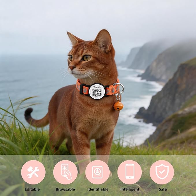 Smart Safety Cat Collar 2-Pack: Luminous Night Glow & QR Code Pet ID Tag, Breakaway Reflective Adjustable Collar (7-12.5”) for Indoor/Outdoor Cats(Blue & orenge)