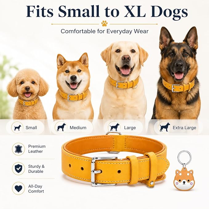 Genuine Leather Dog Collar, Soft Padded Leather Dog Collars with Airtag Holder Case for Small Medium Large X-Large Dogs,Comfort Heavy Duty Pet Collar with Durable Metal Buckle & D-Ring-Light Yellow/XL