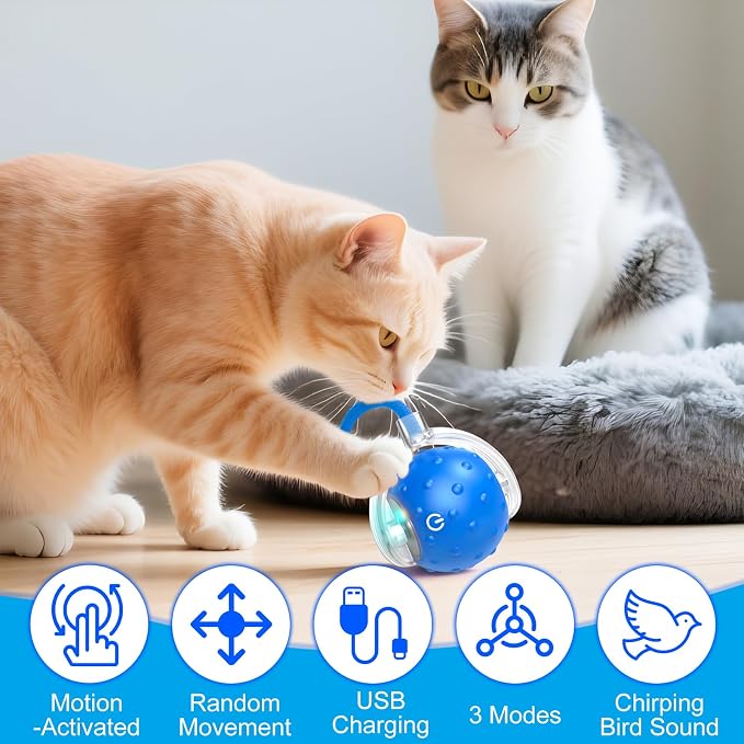 2Pcs Dog Toy, Interactive Dog Cat Toys Balls with Birdsong, Rechargeable 360° Smart Automatic Rolling Electric Dog Ball Toy with Rope for Pets Indoor & Outdoor Play (Red+Blue)