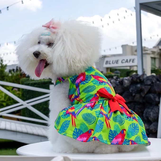 CuteBone Dog Mesh Dress Puppy Sundress Pet Outfit Summer Fashion for Small Dogs Girl Cat Clothes