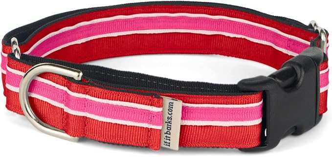 If It Barks 1" Martingale Collar with Quick Snap Release Buckle, Adjustable, USA Made, Large, Shortcake