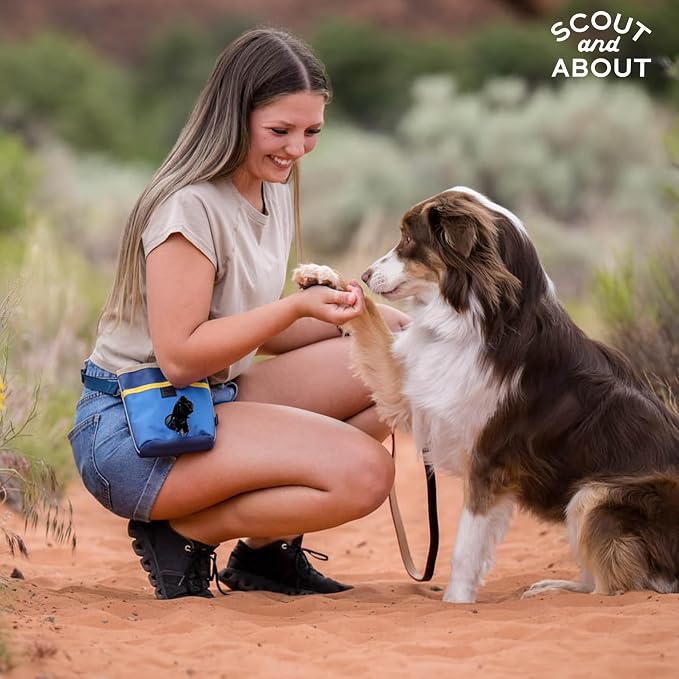P.L.A.Y. Scout & About Deluxe Training Treat Pouch with Poop Bag Dispenser - 3 Way Wear, Detachable & Adjustable Strap, Reflective Strips, Water-Resistant Back Zipper Pocket, Squeaker (River)
