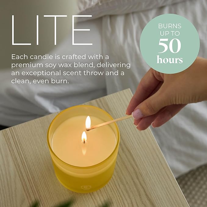 PartyLite Seagrass Eucalyptus Scented Candle Refill, Notes of Eucalyptus, Lemon, Seagrass & Driftwood, 10oz 1-Wick, up to 40 Hours of Luxury, Aromatherapy, Sustainable Premium Soy Wax