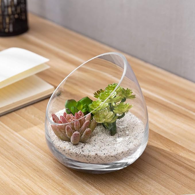 MyGift Clear Glass Air Plant Terrarium Jars, Mini Vase Set of 2 | Versatile glass jars display air plants, succulents, candles, or treats as elegant tabletop décor for any space