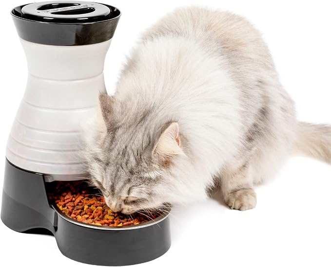 PetSafe Healthy Pet Food Station, 2 lb Gravity Feeder, Cats & Dogs, Small | Dry Food Dispenser, Removable Stainless Steel Bowl Is Dishwasher Safe, Space-Saving Design