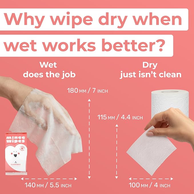 Feminine Wipes for Women – Flushable pH Balanced Wipes, 99% Water & Aloe – Unscented, Gentle Intimate & Period Care with Odor Protection – Daily Hygiene & Travel Essentials – 24 Pack, 144 Wipes