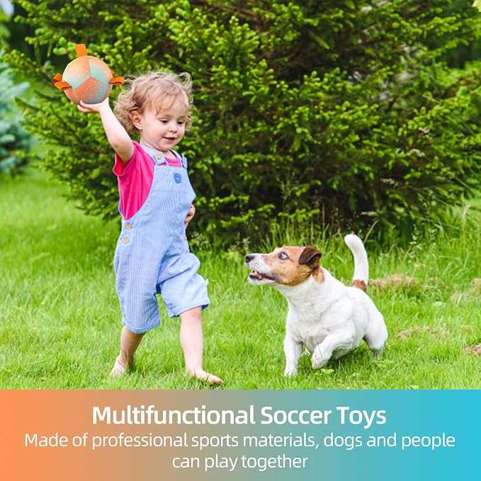 QDAN Small Puppy Dog Balls Toys, Dog Soccer Ball with Straps, 5 Inch