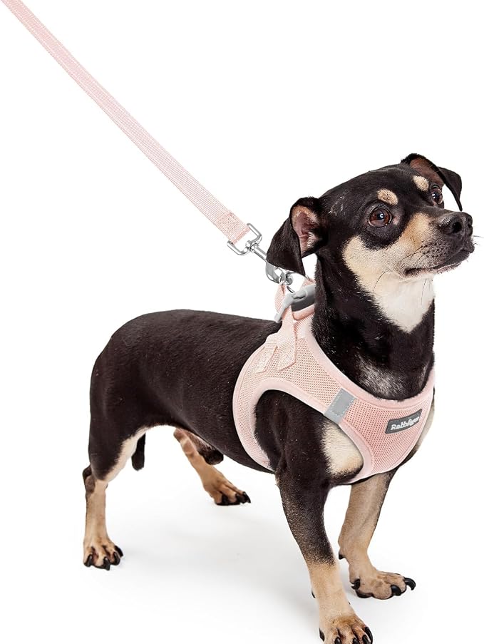 rabbitgoo Dog Harness Small Sized and Leash Set, Step-in Puppy Pet Vest | Light, Soft, Breathable Air Mesh, Easy on and Remove with Hook & Loop, Secure Reflective for Walking, Pink XXXS