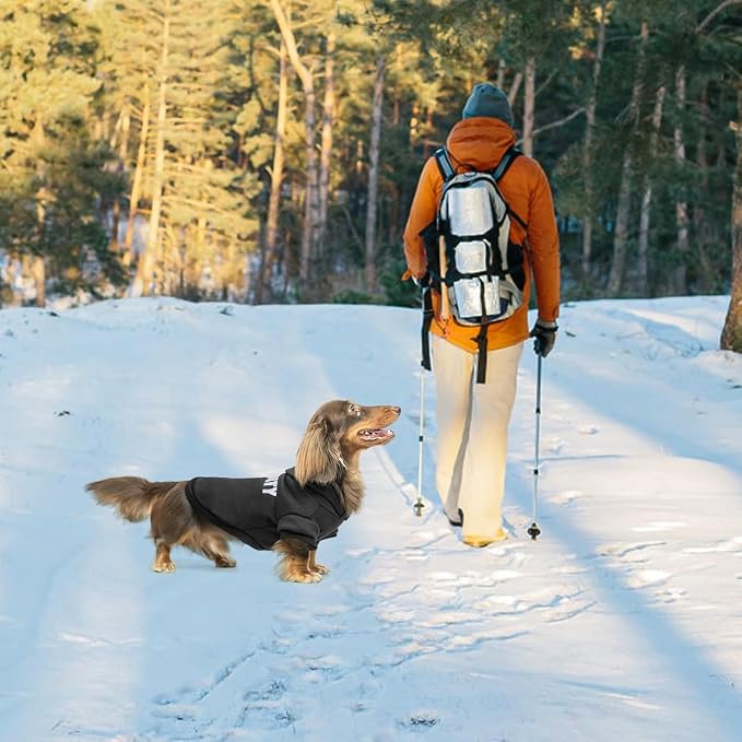 BINGPET Security Dog Hoodie, Dachshund Sweater Clothes with Leash Hole | Warm Dog Sweatshirt for Small Medium Large Dogs, All-Season Cold Weather Comfort & Fit, Soft Winter Hooded Pullover Outfit