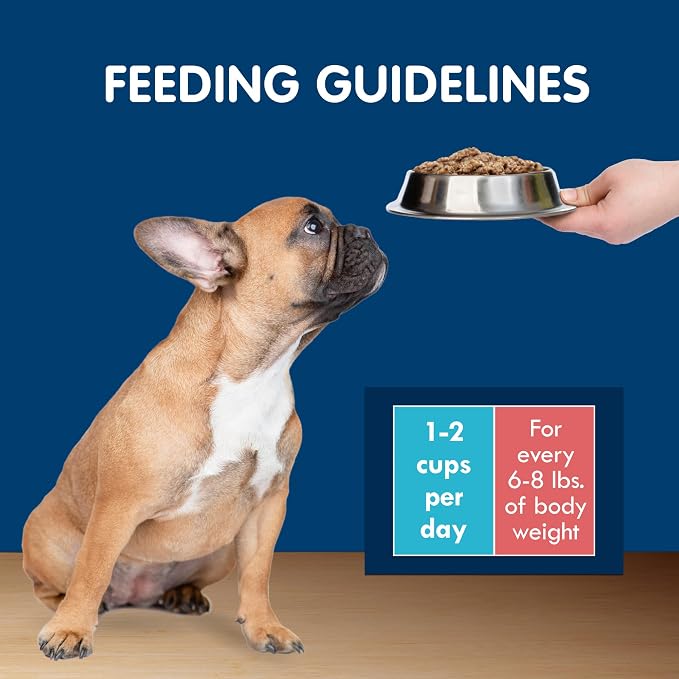 Blue Buffalo Delights Variety Pack Small Breed Wet Dog Food, 3.5 oz, 12 ct | Chicken & Prime Rib (6 of Each), Adult Formula, Grain-Free, No Corn, Wheat, or Soy