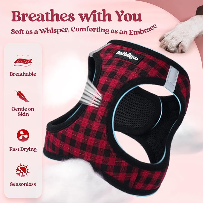 rabbitgoo Dog Harness Small Sized and Leash Set, Step-in Puppy Pet Vest | Light, Soft, Breathable Air Mesh, Easy on and Remove with Hook & Loop, Secure Reflective for Walking, Red Check S