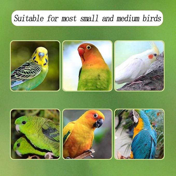 Automatic Acrylic Bird Feeder for Cage, No Mess Bird Feeder for Cage | Suitable for Bird Parrots, Canary, Parakeet, Budgerigar, Crested Myna, Cockatiel (XL)