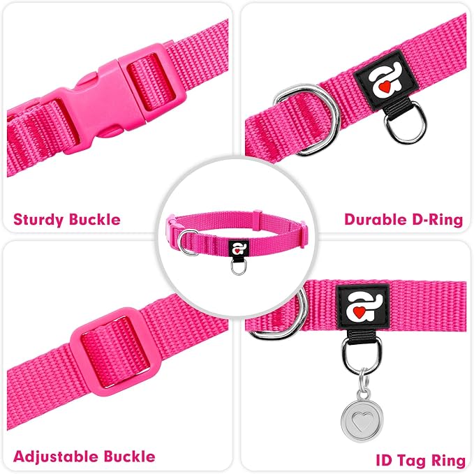 azuza Nylon Dog Collar and Leash Set, Strong & Durable Basic Style Leash and Collar with ID Tag Ring, Available in Multiple Lengths for Medium Dogs, Hot Pink,M