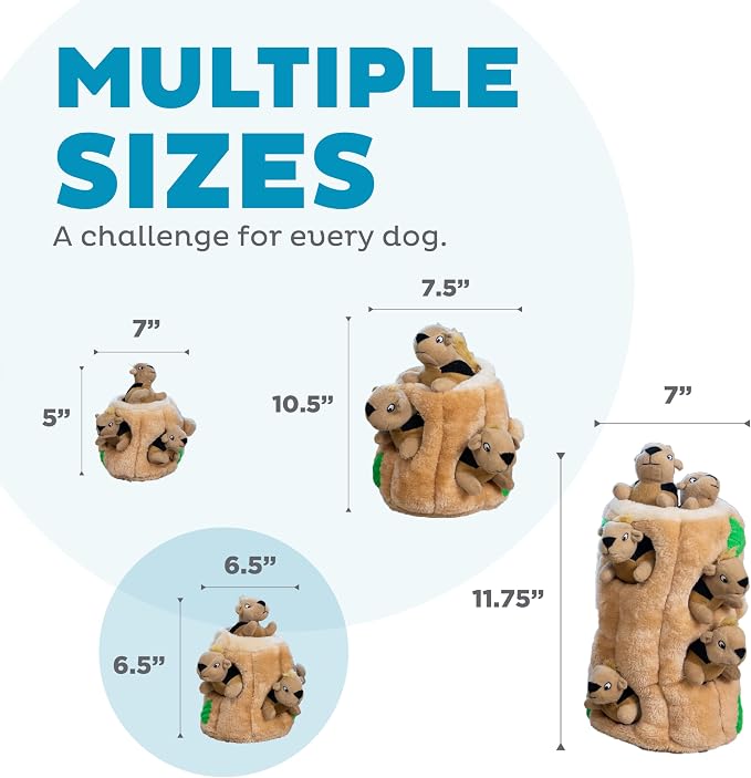 Outward Hound Hide-A-Squirrel Plush Squeaky Dog Toy, Medium, 6.5" x 6.5" | Hide-n-Seek Puzzle, 3 Removable Squirrels, Fetch Play, Interactive Enrichment, Boredom Buster, Light Chewers, Dogs & Puppies