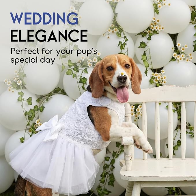 ASENKU Dog Dress Pet Wedding Dress Puppy Birthday Party Outfit, White L | Dog Flower Girl Dress With Leash Hole, Princess Puppy Dress For Weddings, Daily Wear, Fits Small Medium Large Dogs Cats