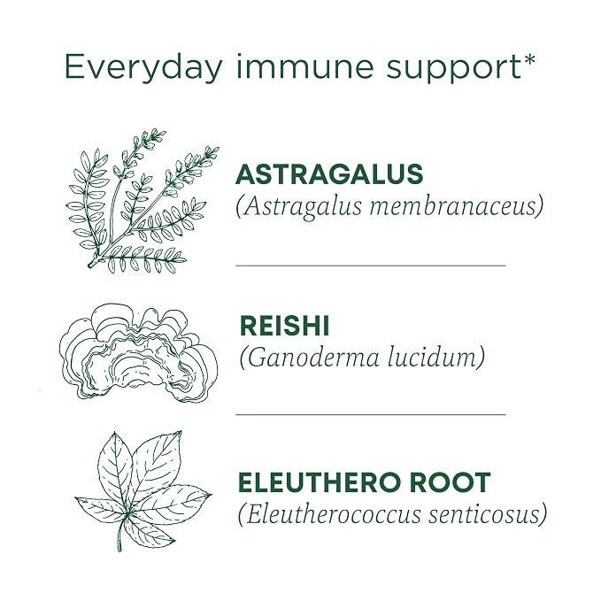 Traditional Medicinals Organic, Stress Ease Immune with Adaptogens, Reishi Warming Spice - Immune Support with Astragalus - Kosher, Non-GMO, Caffeine-Free, Compostable - 16 Tea Bags