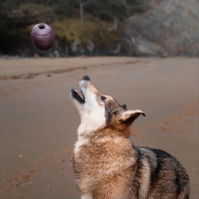BarkBox Pine Cone Dog Toy
