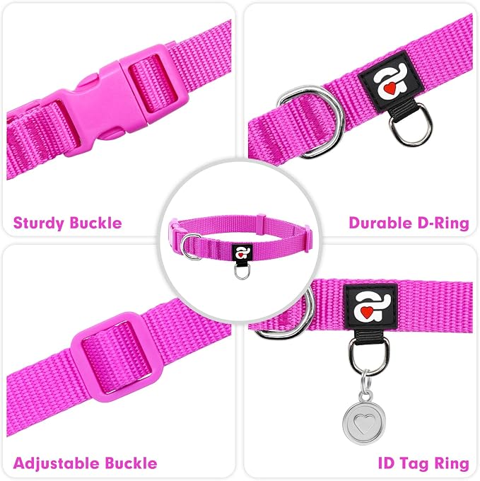 azuza Nylon Dog Collar and Leash Set, Strong & Durable Basic Style Leash and Collar with ID Tag Ring, Available in Multiple Lengths for Large Dogs,Purple,L