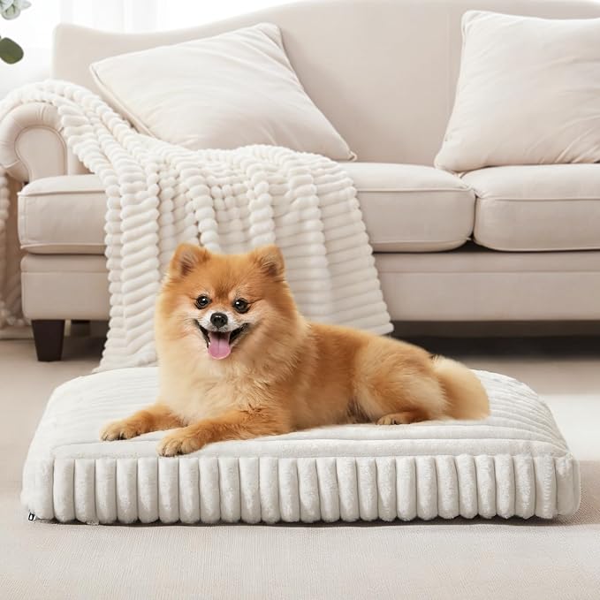 Dog Beds for Small Dogs, Flat Pet Beds with Removable Washable Cover, Pet Mat Cute Dog Crate Bed Thick Shredded Chopped Crate Foam & Anti Slip Bottom for Indoor, 23"x18"x3" Cream