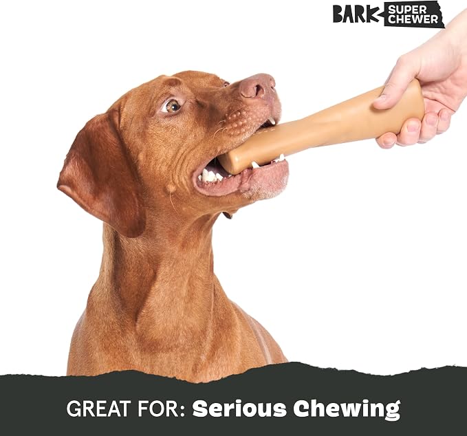 BarkBox Peanut Butter Bone Super Chewer - Toy for Large Dogs | Durable Dog Toy for Aggressive Chewers - Peanut Butter Scented Chew