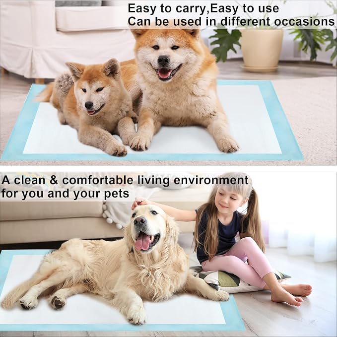 60 Count Dog Pee Pads Extra Large,32"X 36"Pet Training Pads,Disposable Pet Potty Pads Super Absorbent & Leak-Proof for House Training Cats,Rabbits,Dogs Leak-Proof Pet Pads