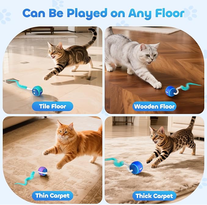 Interactive Cat Toy Ball for Indoor Cats with 3-Mode Touch Activated | Tangle-Free Tail, Rechargeable, 2 Tails, 6-8H Play Automatic Moving Cat Toy, Smart Rolling Ball for Indoor Cats to Chase Play