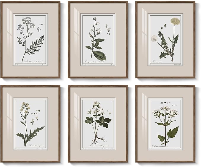Framed Vintage Botanical Wall Art, 6 Piece Rustic Floral Canvas Painting Prints Artwork for Kitchen Walls, Neutral Flower Pictures for Living Room Bedroom Dining Room Farmhouse Wall Decor, 11x14