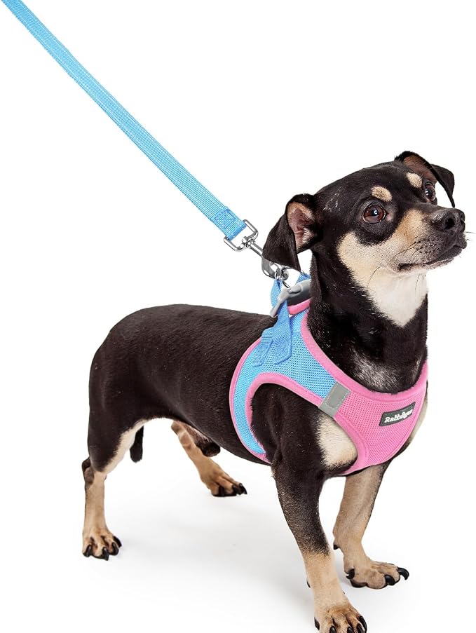 rabbitgoo Dog Harness Small Sized and Leash Set, Step-in Puppy Pet Vest | Light, Soft, Breathable Air Mesh, Easy on and Remove with Hook & Loop, Secure Reflective for Walking, Blue & Light Pink XXXS
