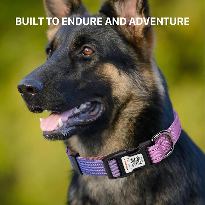 Personalized Dog Collar with QR Code Dog Tag, Pink&Orange S | Anti-lost, 1000D nylon, reflective, padded, XS-L(8"-24"), QR buckle shares lost pet profile, location alerts when scanned