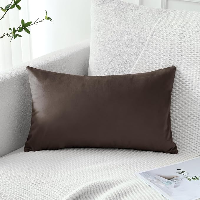 Artscope Luxury Velvet Pillow Covers Decorative Rectangle Pillowcases Soft Solid Cushion Cases for Couch Sofa Bedroom Car Decor 12x20 Inch Chocolate Brown