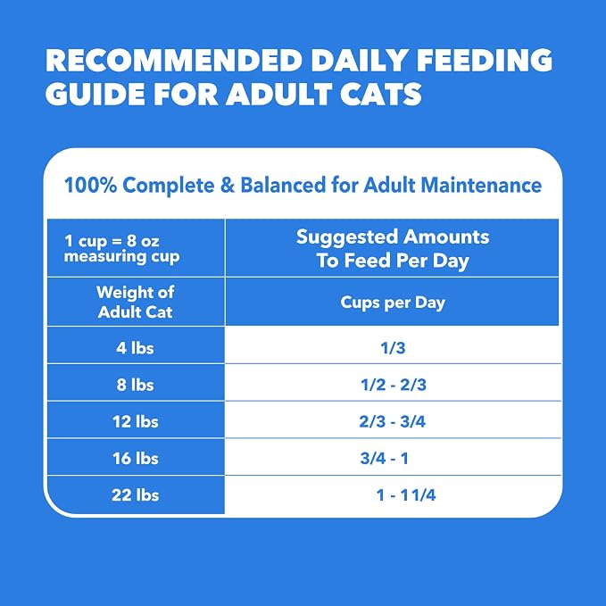 IAMS Healthy Enjoyment Dry Cat Food, Chicken & Salmon Recipe, 6 lb | Vet-recommended, Real Chicken #1 ingredient, Natural fiber & prebiotics, Supports Immune & Digestive Health, Muscle Care