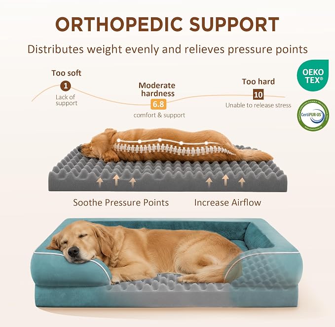 Comfort Expression Waterproof Orthopedic Dog Bed for Medium Size Dog | Supportive Egg Crate Foam Medium Pet Bed with Removable Bolsters, Dog Couch with Washable Cover & Non-Slip Bottom, 30x20 Inch